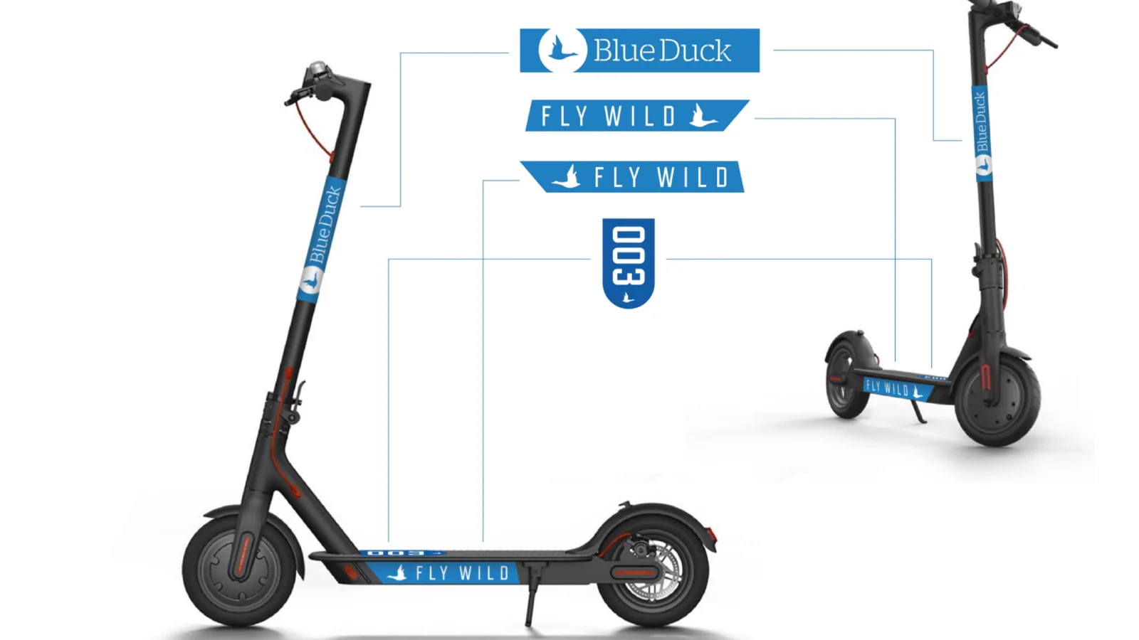Blue Duck Scooters Fly Wild campaign hero